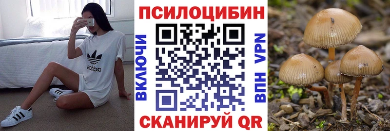 Псилоцибиновые грибы Psilocybe Щёлкино